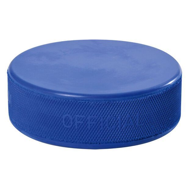 blue puck.jpg (30 KB)